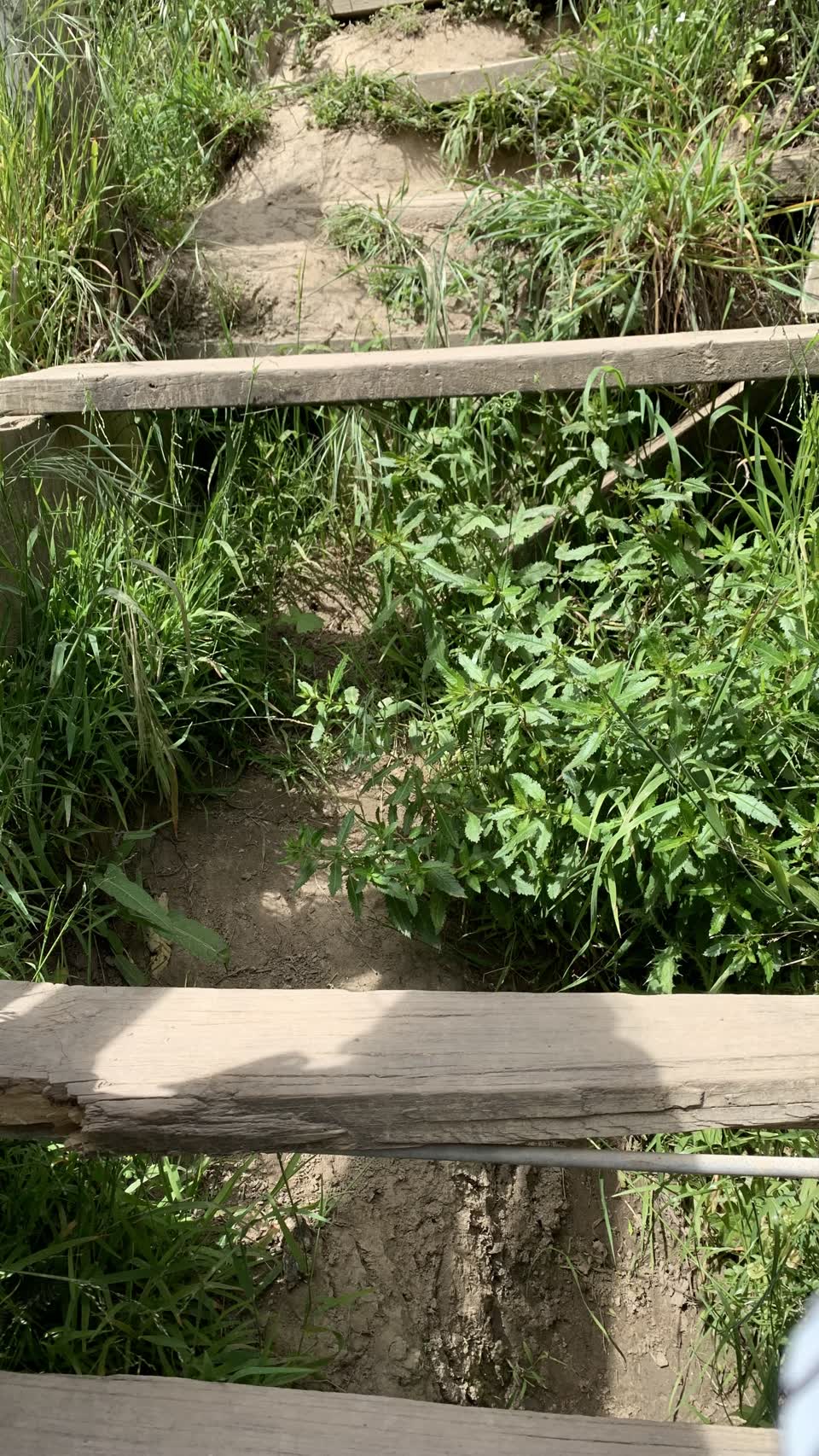 The photograph attached to this parks report