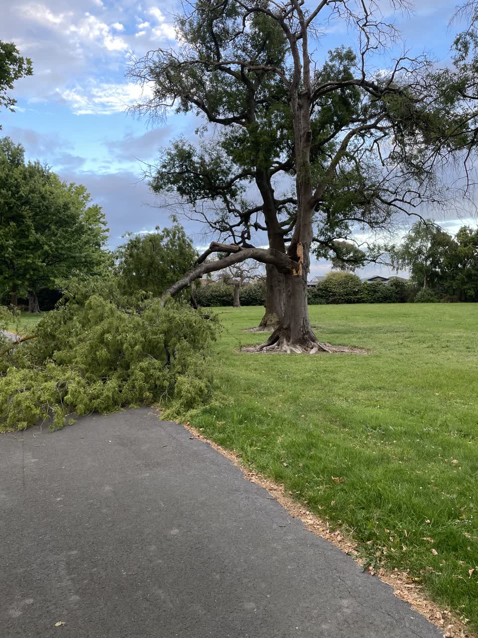 The photograph attached to this parks report