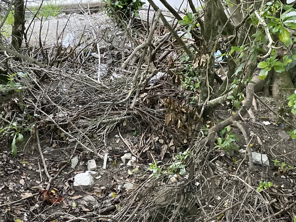 The photograph attached to this rubbish/recycling report