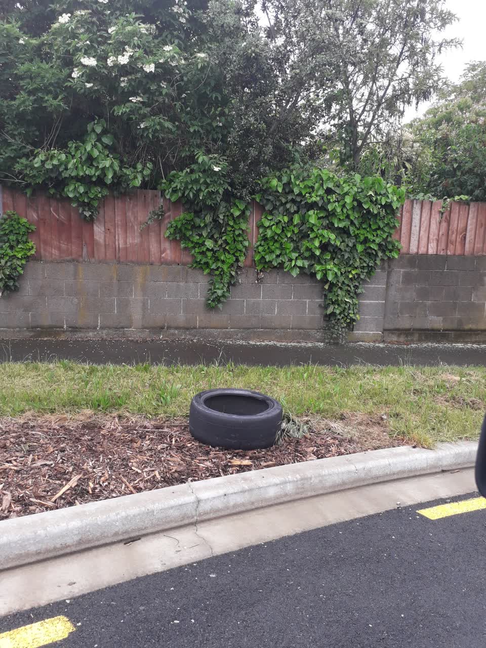 The photograph attached to this rubbish/recycling report
