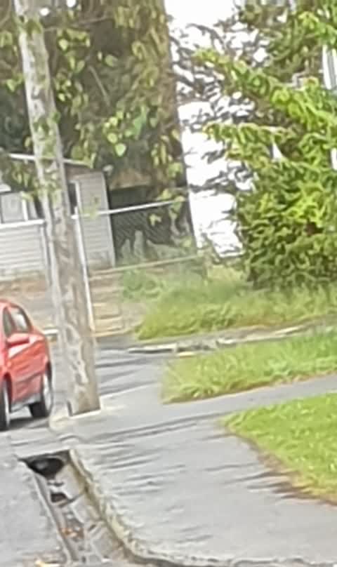 Roading/Streets, a report photo