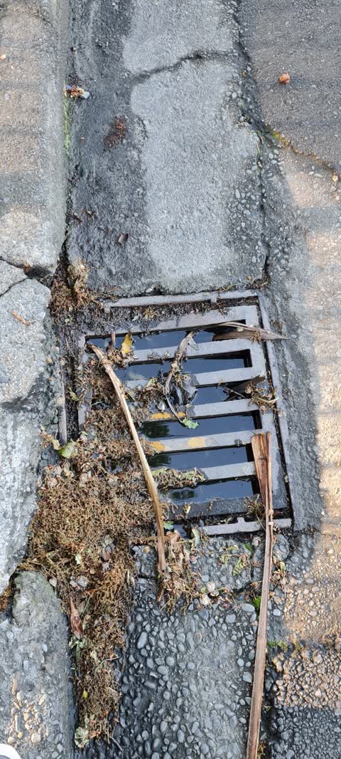 Wastewater/Stormwater, a report photo