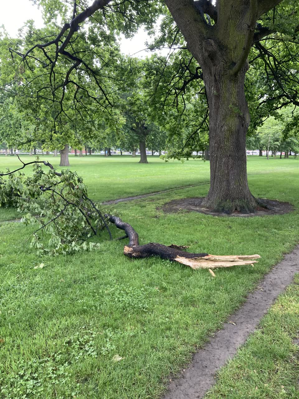 The photograph attached to this parks report
