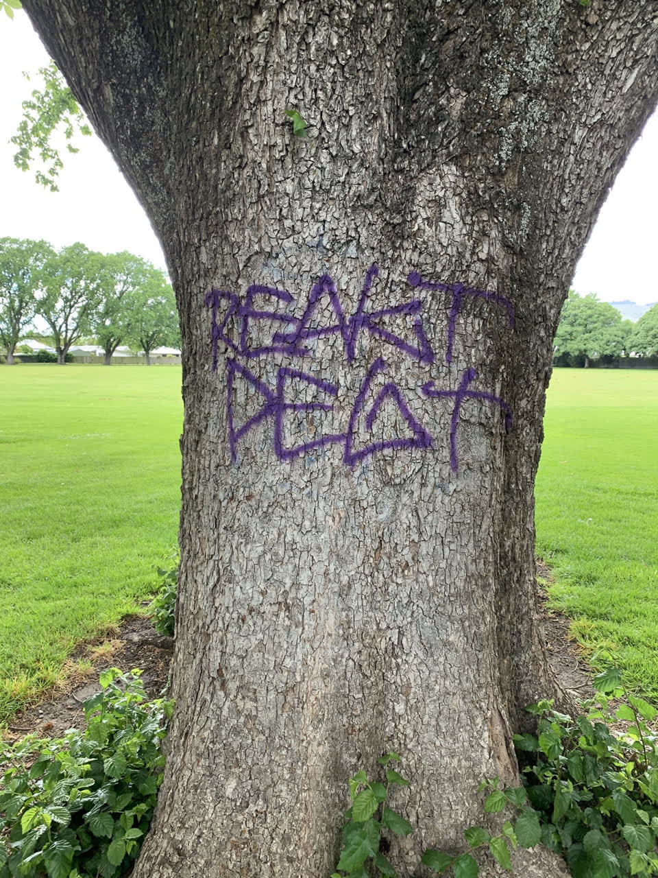 The photograph attached to this graffiti report