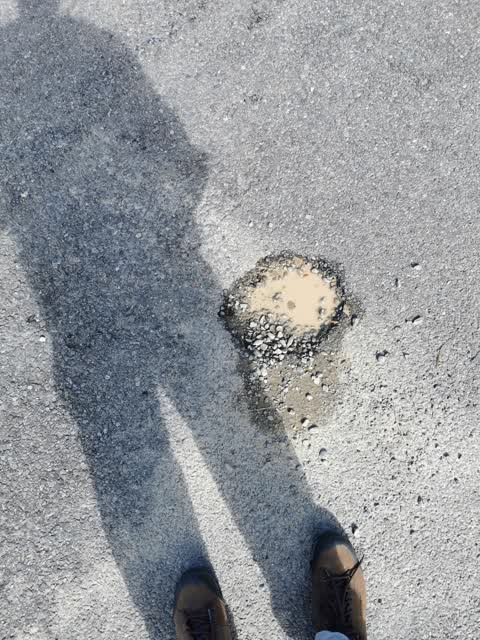 Roading/Streets, a report photo