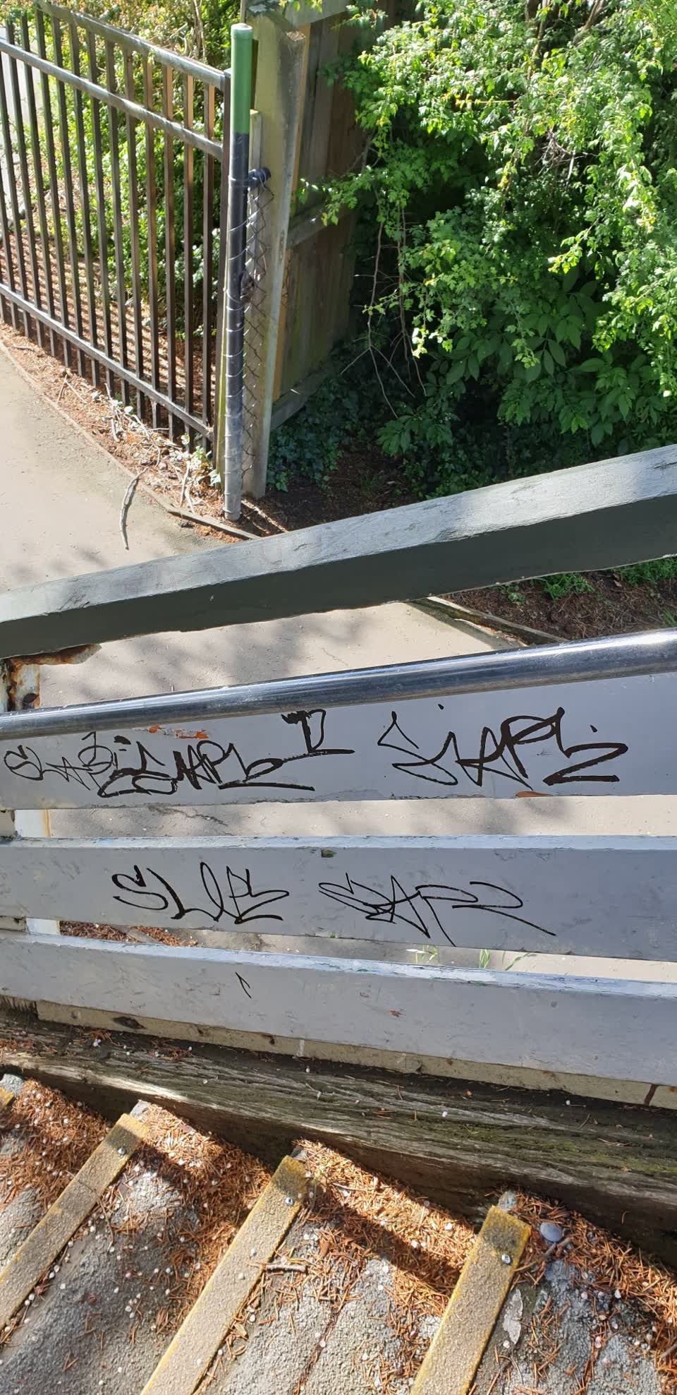 The photograph attached to this graffiti report