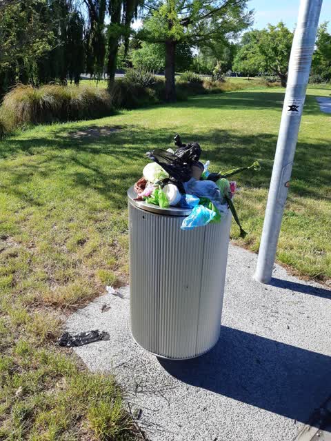 Rubbish/Recycling, a report photo