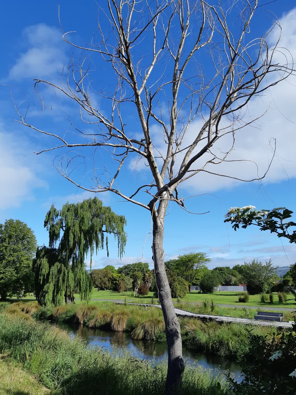 The photograph attached to this parks report