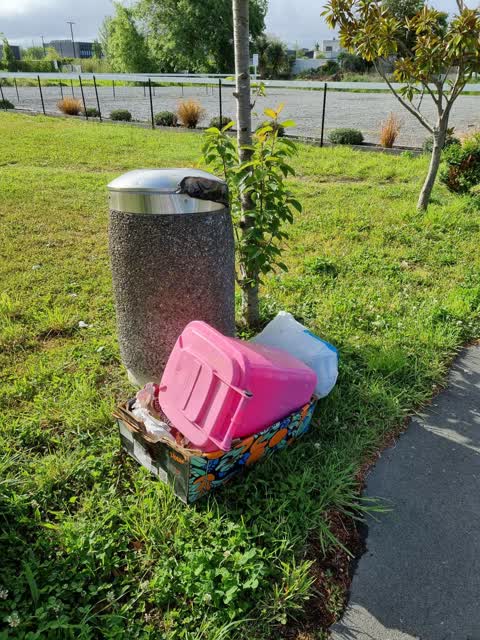 Rubbish/Recycling — a report photo