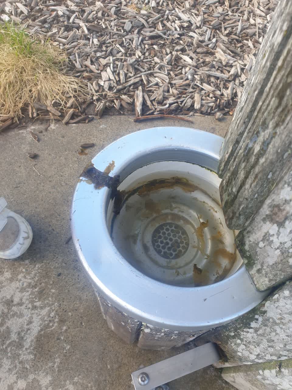 The photograph attached to this parks report