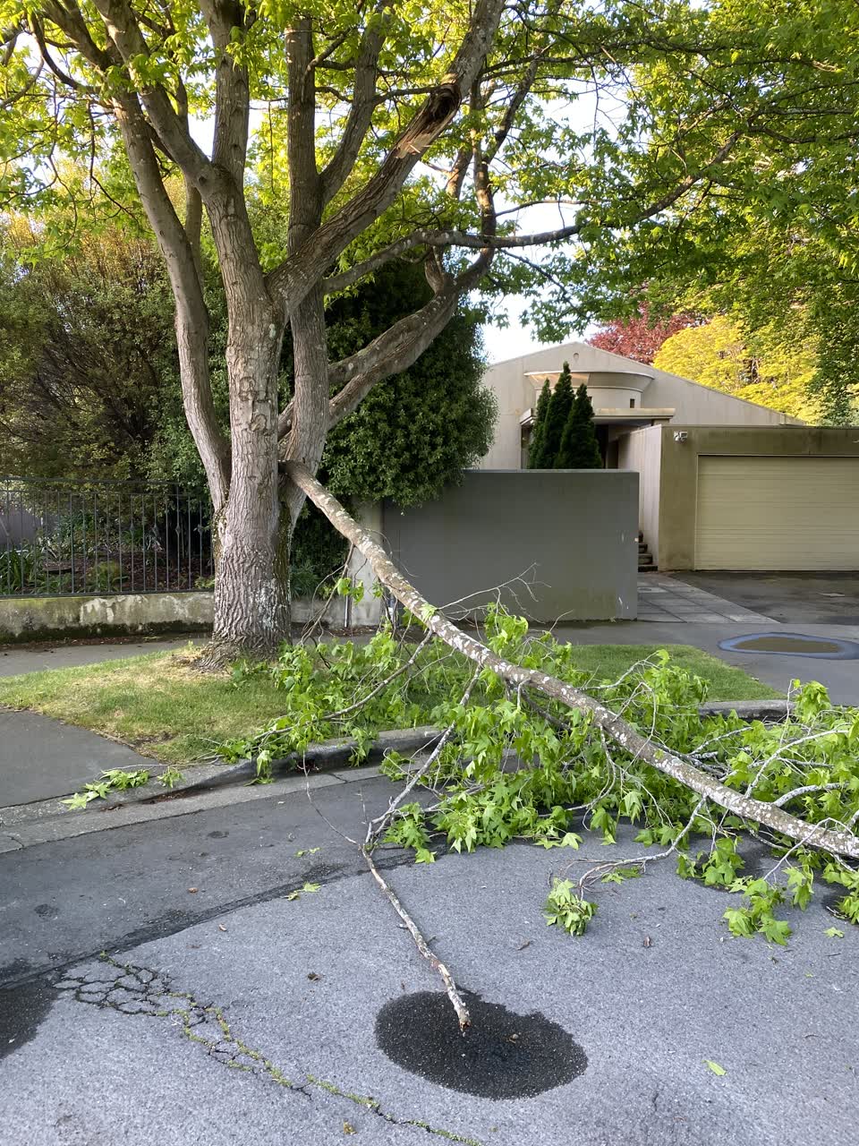 The photograph attached to this roading/streets report
