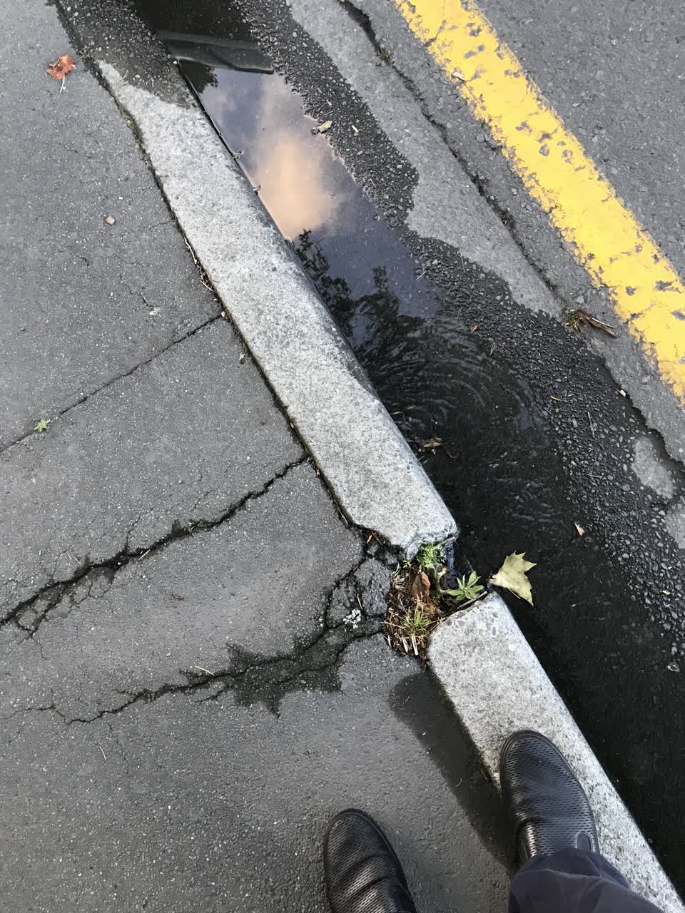 The photograph attached to this water leak report
