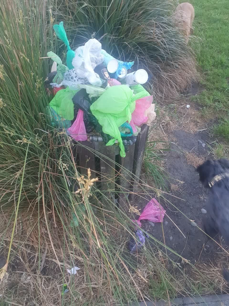 The photograph attached to this rubbish/recycling report