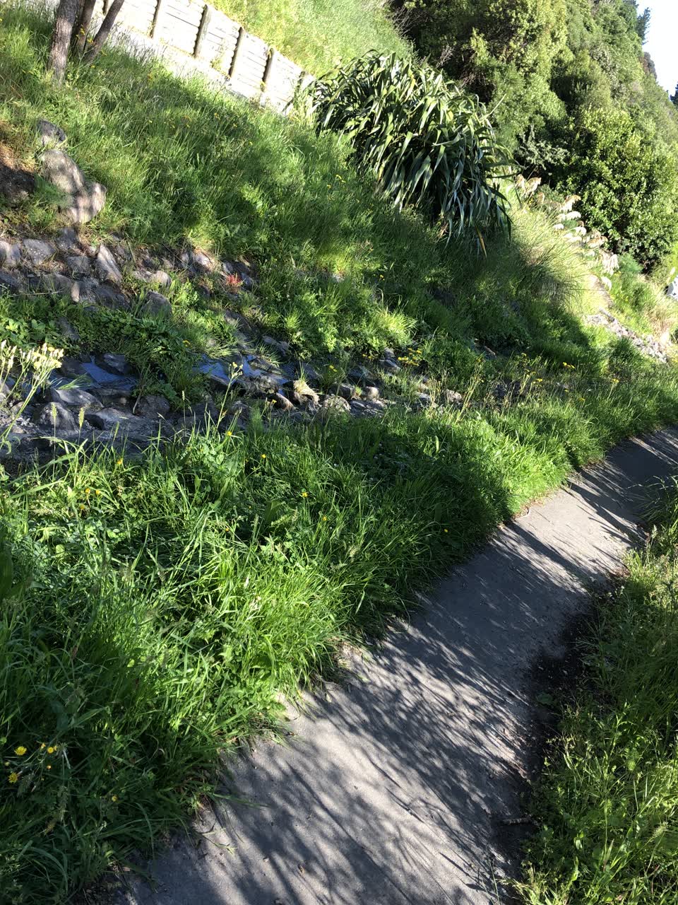 The photograph attached to this parks report