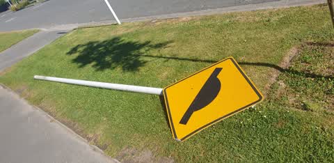 Roading/Streets, a report photo
