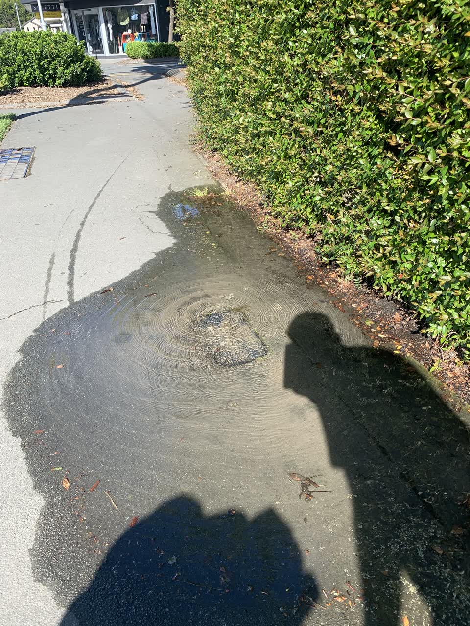 The photograph attached to this water leak report