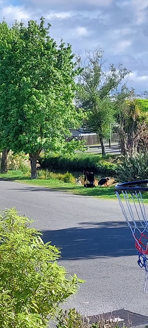Parks, a report photo