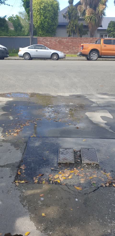 Water Leak, a report photo