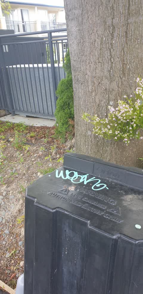 Graffiti, a report photo