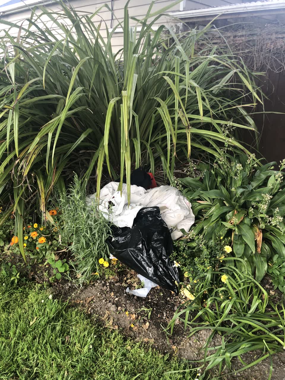 The photograph attached to this rubbish/recycling report