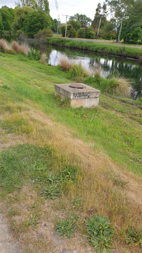 Graffiti — a report photo