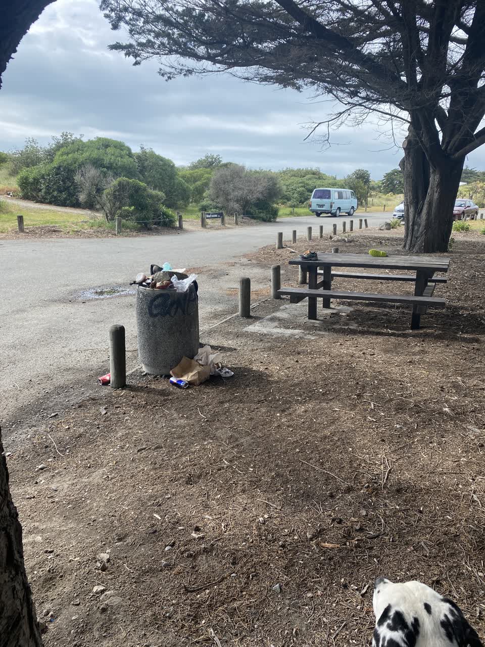 The photograph attached to this rubbish/recycling report