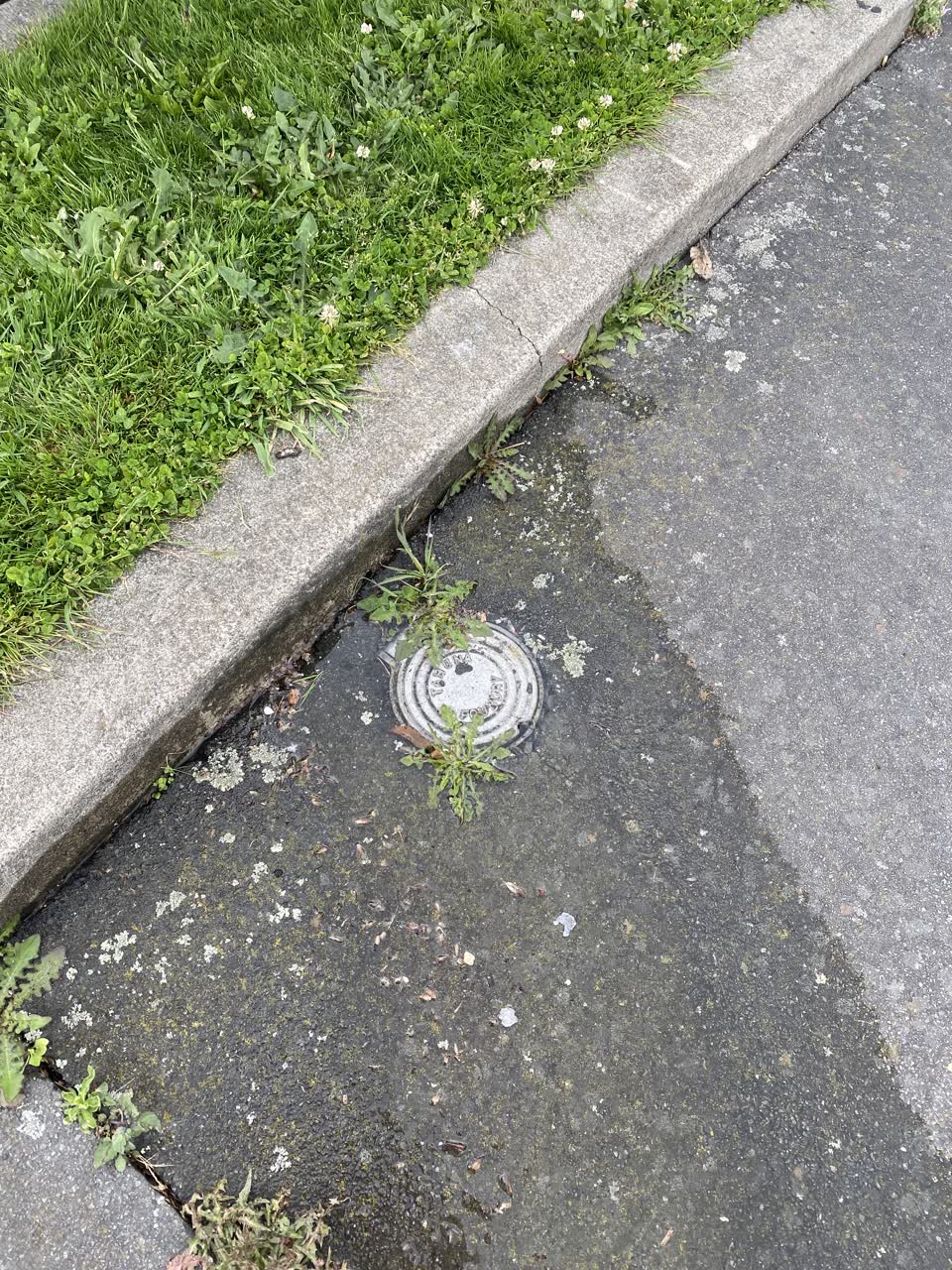 The photograph attached to this water leak report