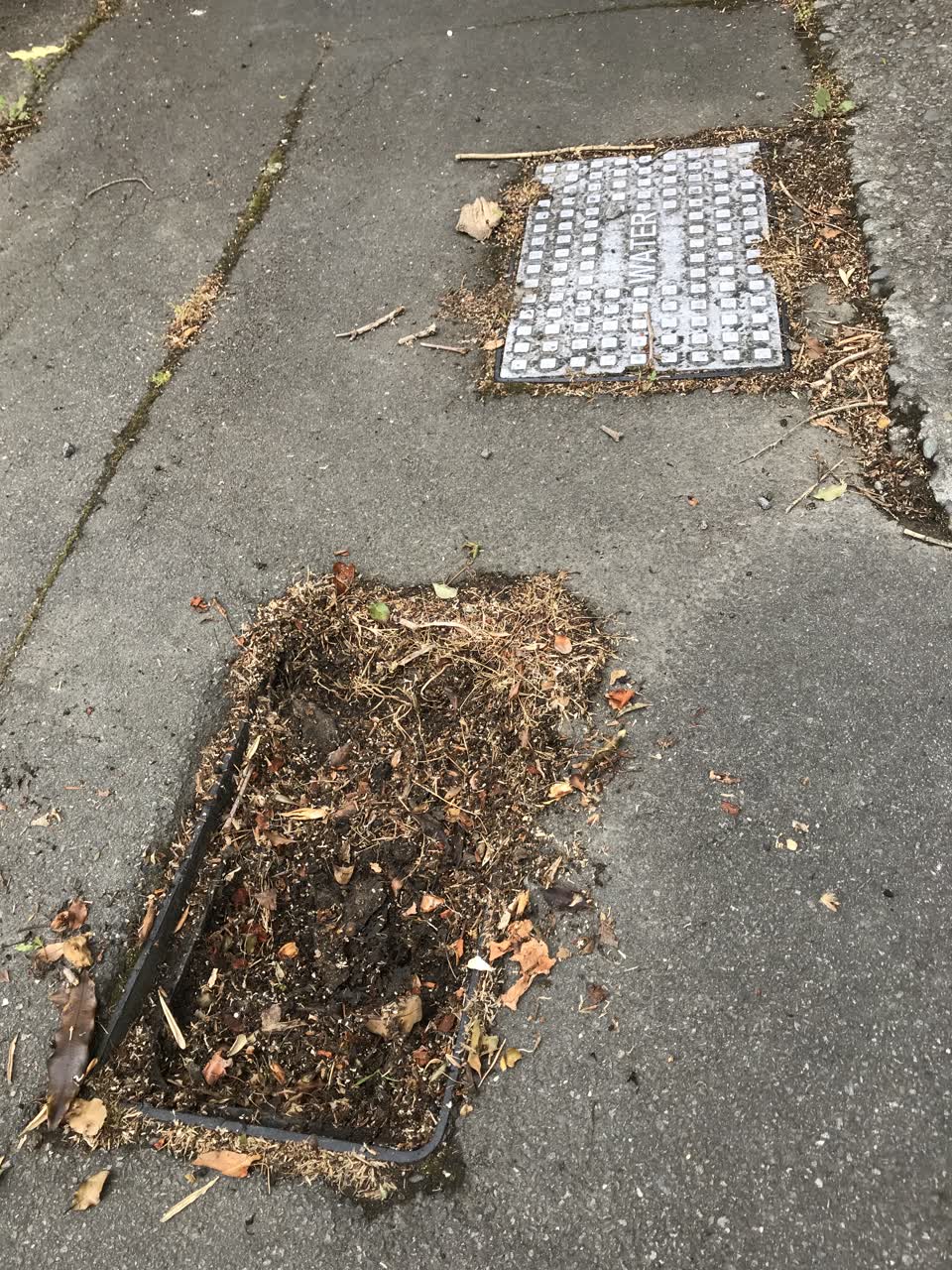 The photograph attached to this roading/streets report