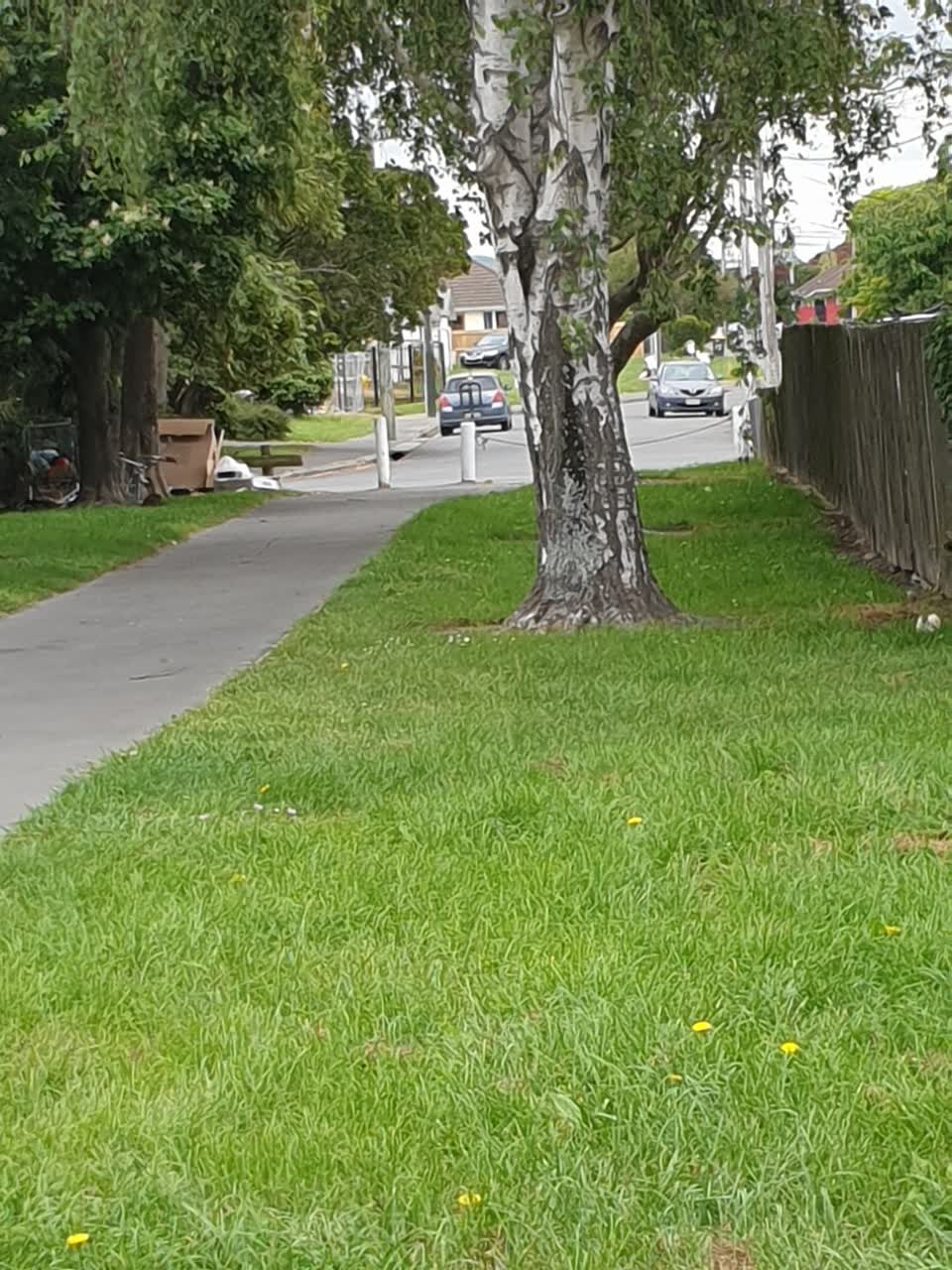The photograph attached to this parks report