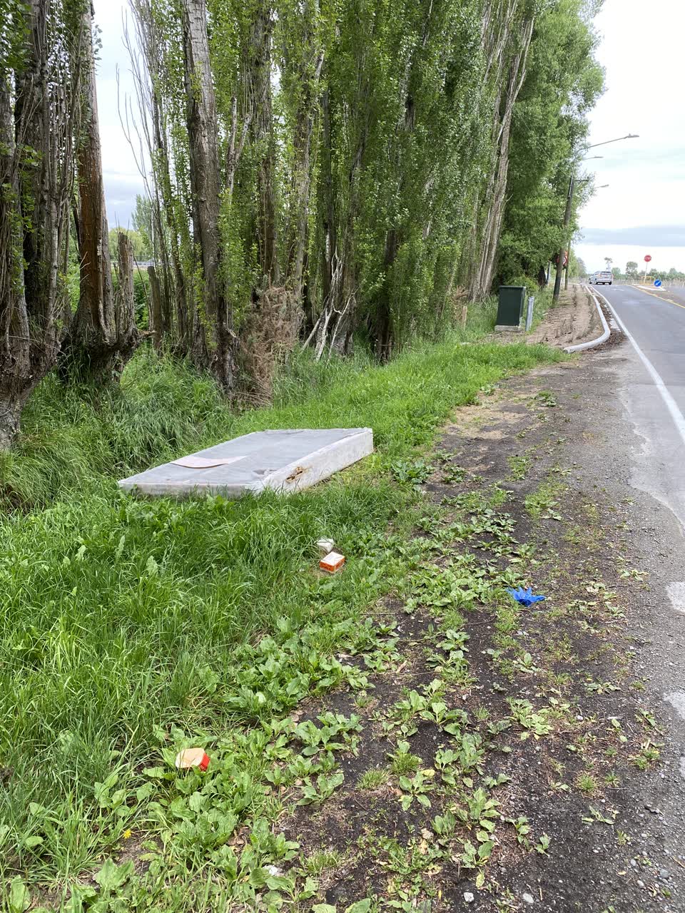 The photograph attached to this rubbish/recycling report