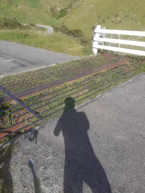 Roading/Streets, a report photo