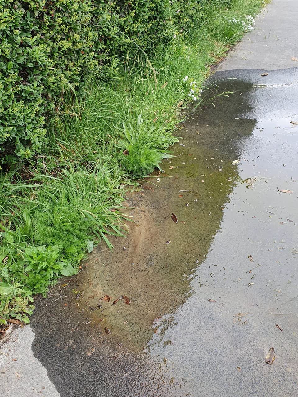 The photograph attached to this water leak report