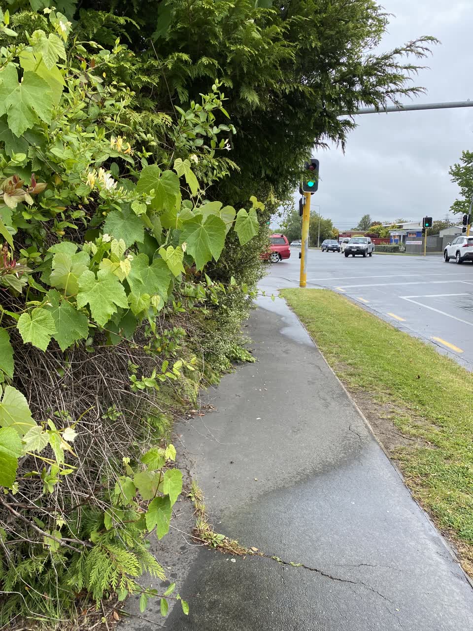 The photograph attached to this parks report