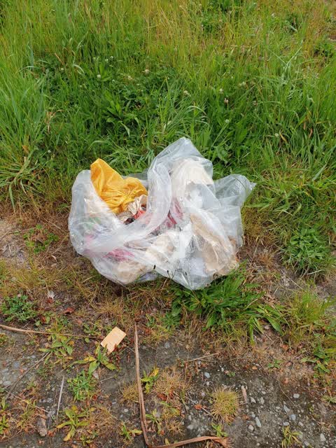 Rubbish/Recycling, a report photo