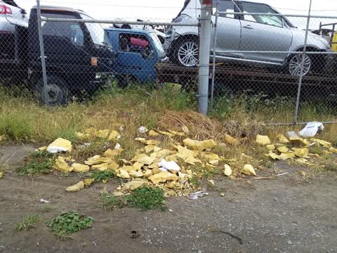Rubbish/Recycling, a report photo