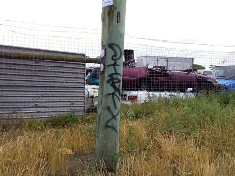 Graffiti, a report photo