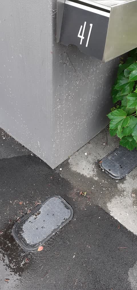 Water Leak, a report photo