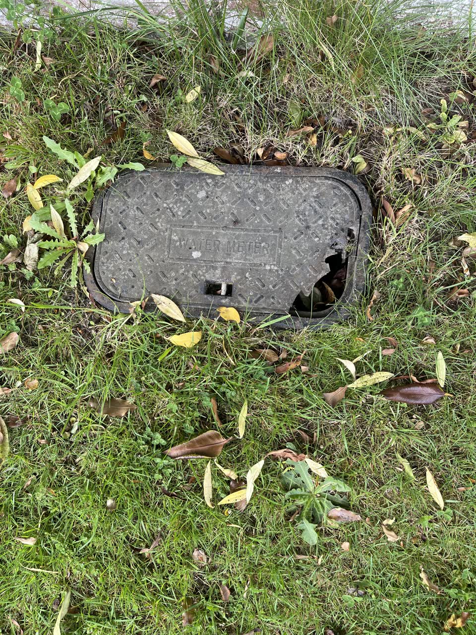 The photograph attached to this roading/streets report