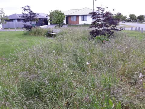 Parks, a report photo