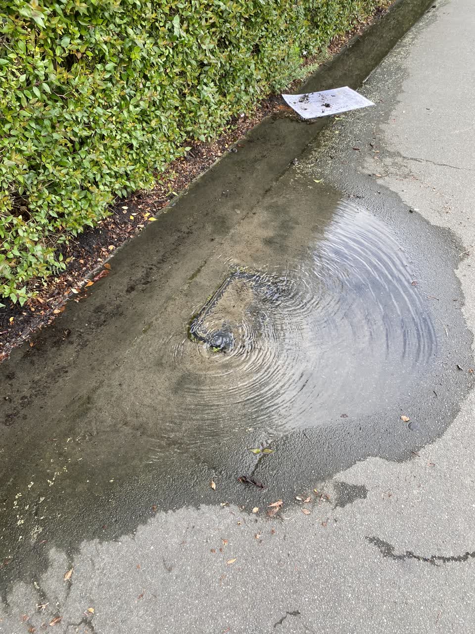 The photograph attached to this water leak report
