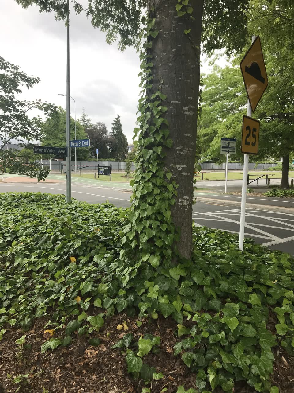 The photograph attached to this parks report