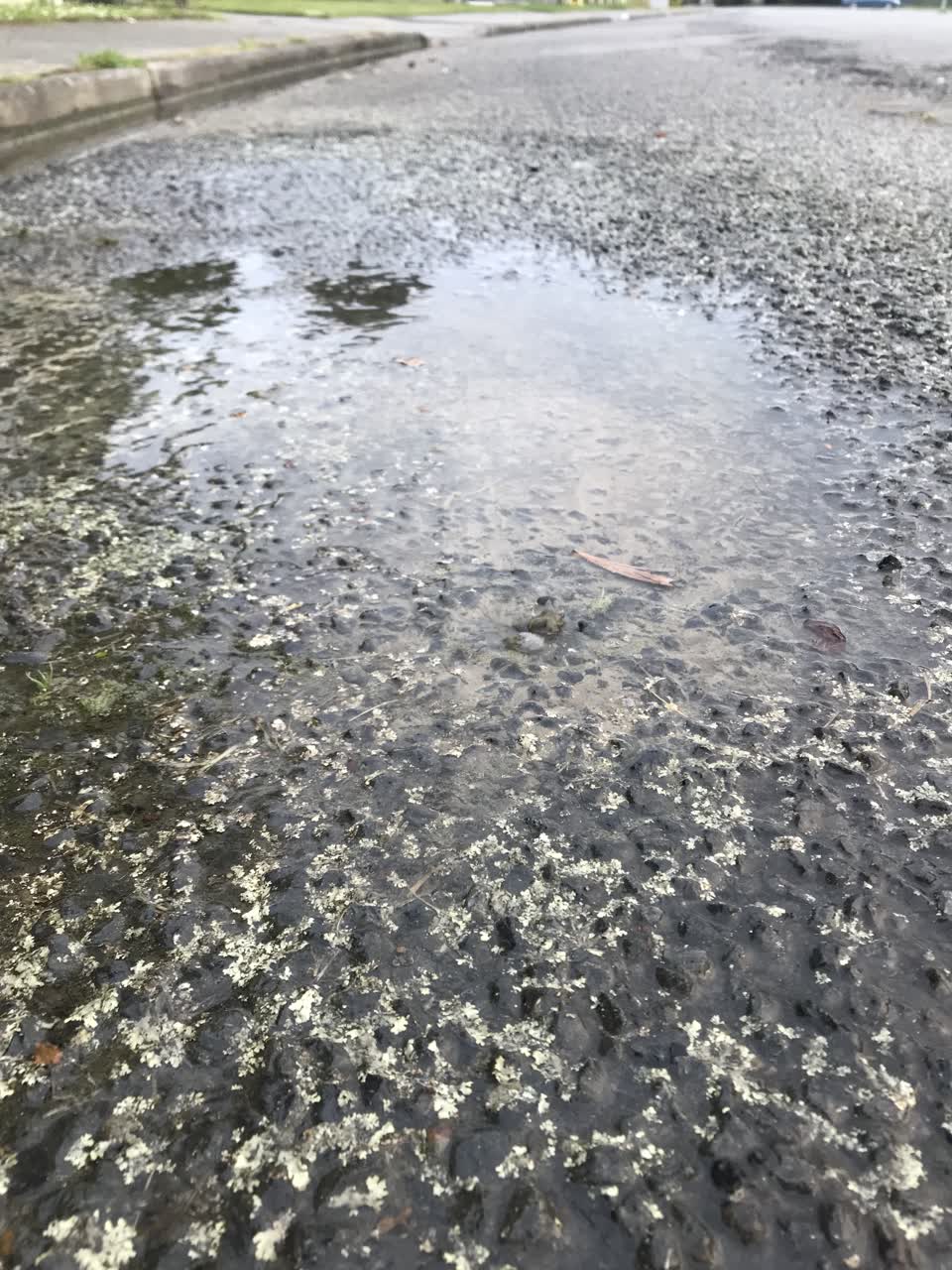 The photograph attached to this water leak report