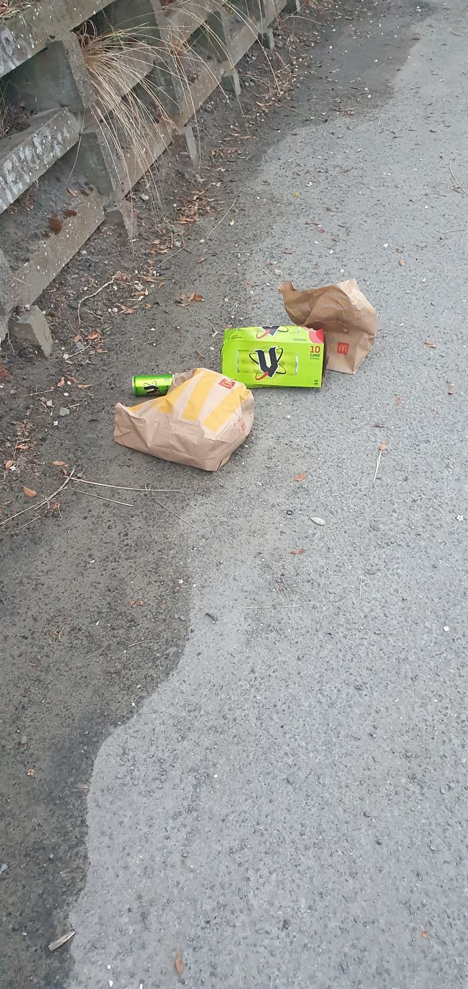 The photograph attached to this rubbish/recycling report