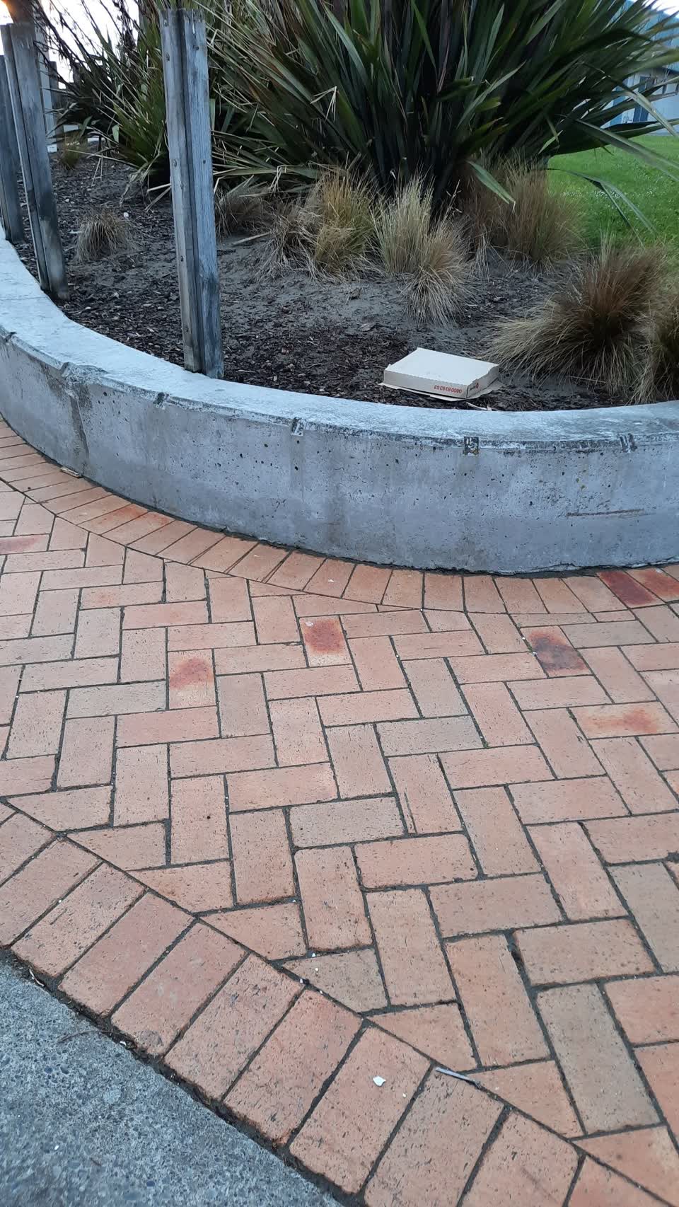 The photograph attached to this parks report