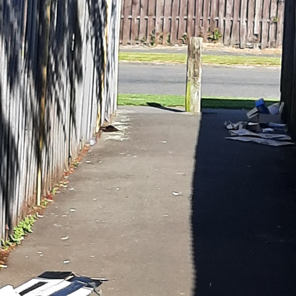 The photograph attached to this rubbish/recycling report