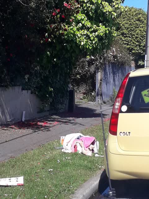 Rubbish/Recycling, a report photo