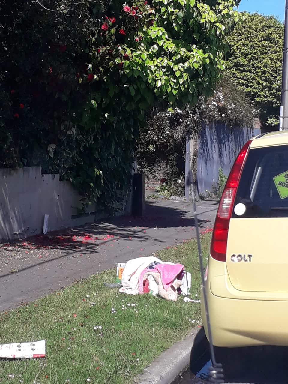 The photograph attached to this rubbish/recycling report