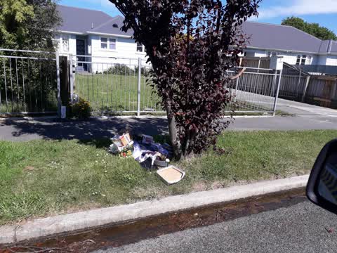 Rubbish/Recycling, a report photo