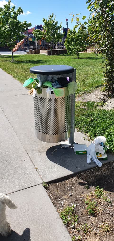Rubbish/Recycling, a report photo