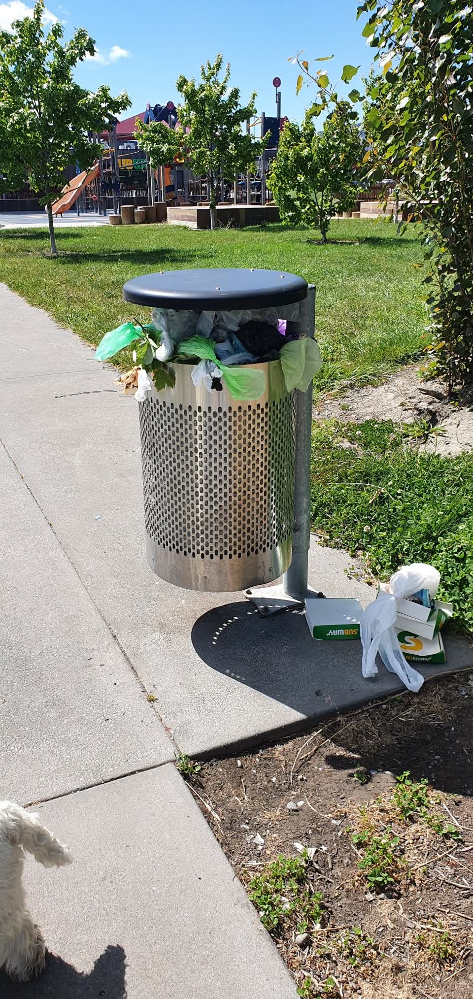 The photograph attached to this rubbish/recycling report